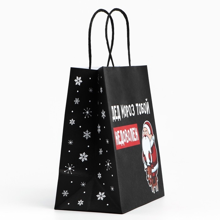 Пакет подарочный новогодний «Подарок, который ты заслужил», 22 х 22 х 11 см Пакет подарочный новогодний «Подарок, который ты заслужил», 22 х 22 х 11 см