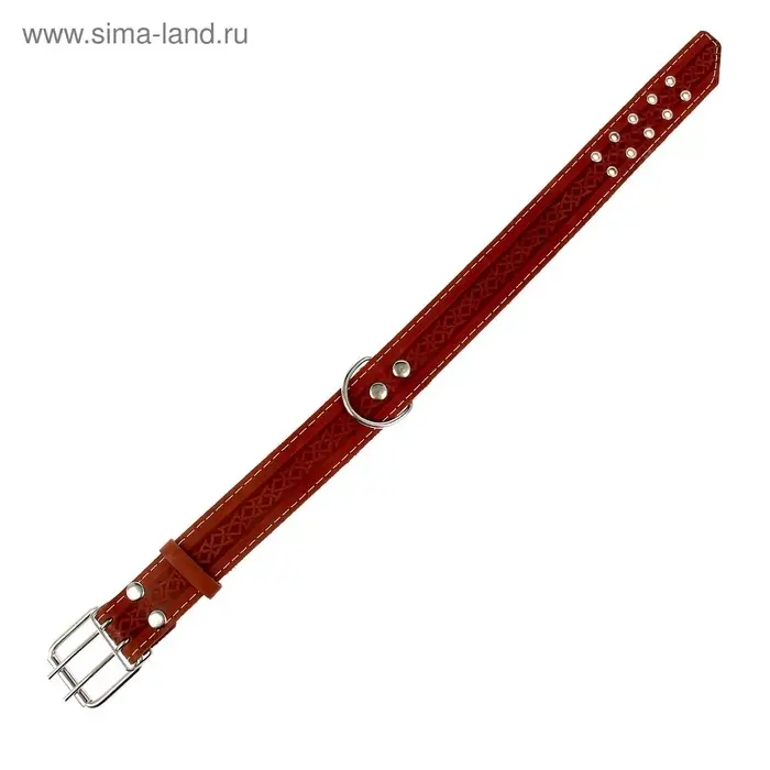 Ошейник однослойный, 73&times;4.5 см, ОШ 51-65 см, кожа, МИКС