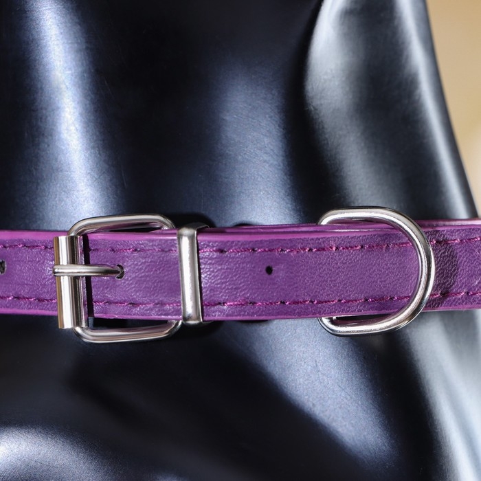 Ошейник с затупленными шипами 38 х 1,5 см, ОШ 26-33, морозостойкий материал PU, фиолетовый Ошейник с затупленными шипами 38 х 1,5 см, ОШ 26-33, морозостойкий материал PU, фиолетовый