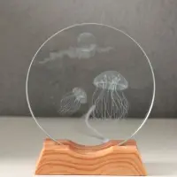 Сувенир стекло свет "Диск. Медузы" 5хLED d=10 см, USB 10х4х11,4 см Сувенир стекло свет "Диск. Медузы" 5хLED d=10 см, USB 10х4х11,4 см