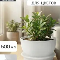 Горшок для цветов &laquo;Фиалочка&raquo;, 500 мл, d=12.5 см, h=7 см, пластиковый, белый