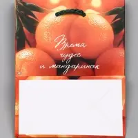 Пакет подарочный новогодний ламинированный, «Новогодние мандарины» , 11.5×6.5×14.5 см
