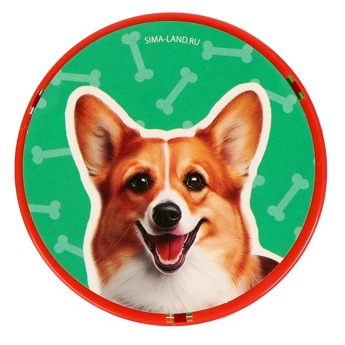 Пружинка - радуга «Котики-собачки» d.-5см, в шоубоксе, МИКС