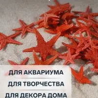 Набор натуральных морских звезд, 1.5-2 см, 20 шт., красный