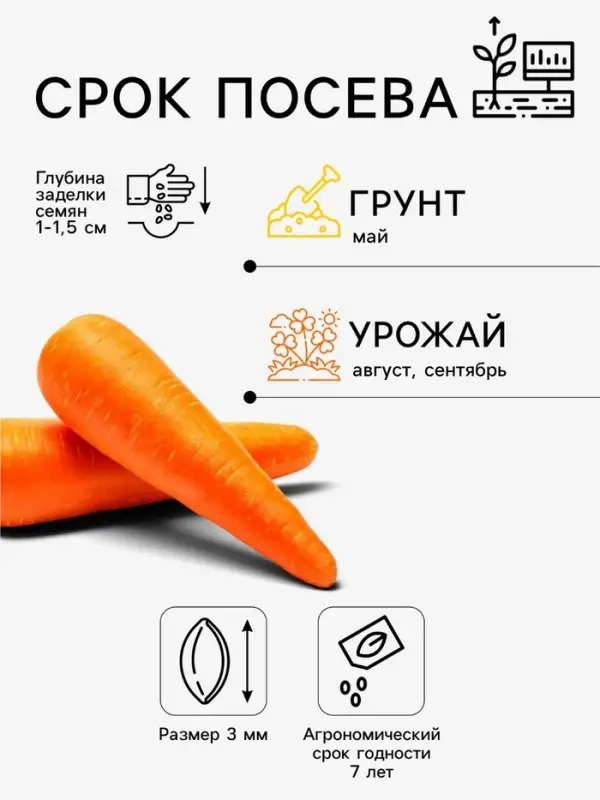 Семена на ленте Морковь &laquo;Барыня&raquo;, 8 м, &laquo;Аэлита&raquo;