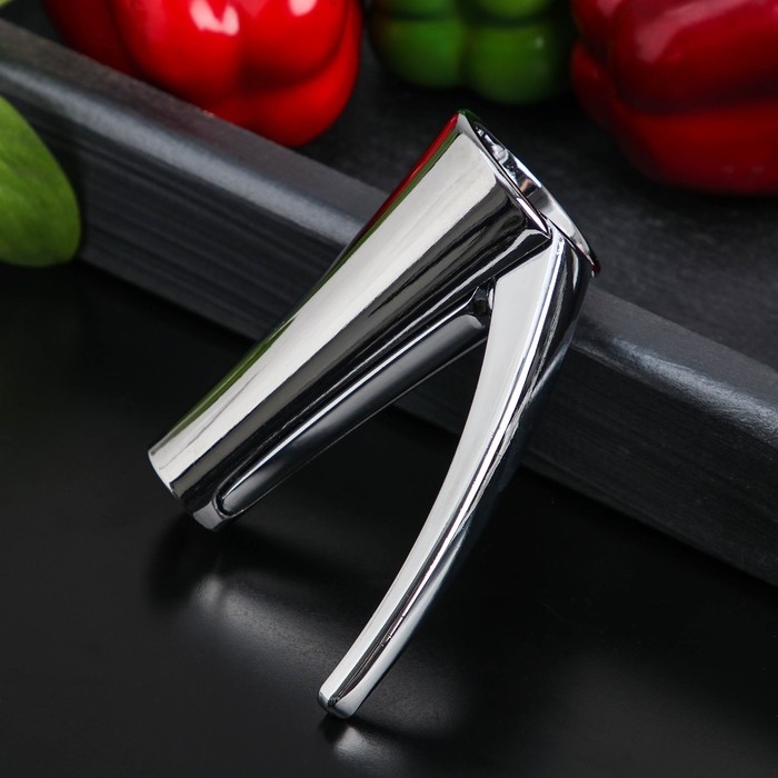 Орехокол Доляна «Идея», нержавеющая сталь, цвет серебряный Орехокол Доляна «Идея», нержавеющая сталь, цвет серебряный