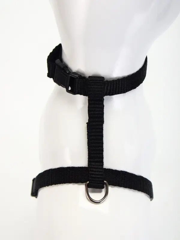 Комплект для кошек, ширина 1 см, ОШ 16.5-27 см, ОГ 21-35 см, поводок 120 см, чёрный