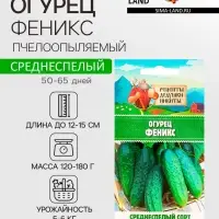 Семена Огурец «Феникс», пчелоопыляемый, среднеспелый, 0.5 г