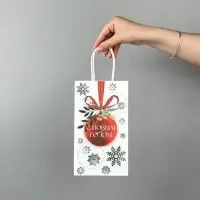 Набор новогодних пакетов &laquo;Новогодняя пора&raquo;