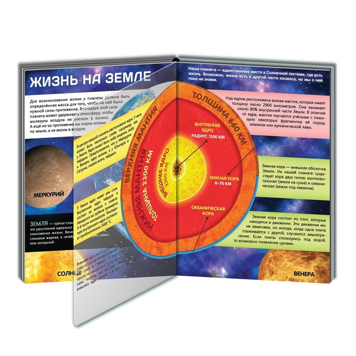 Книга с прозрачными страницами «Жизнь на земле. Животные и где они обитают», 30 стр. Книга с прозрачными страницами «Жизнь на земле. Животные и где они обитают», 30 стр.