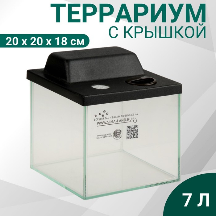 Террариум с крышкой 7 литров, 20 х 20 х 18 см Террариум с крышкой 7 литров, 20 х 20 х 18 см
