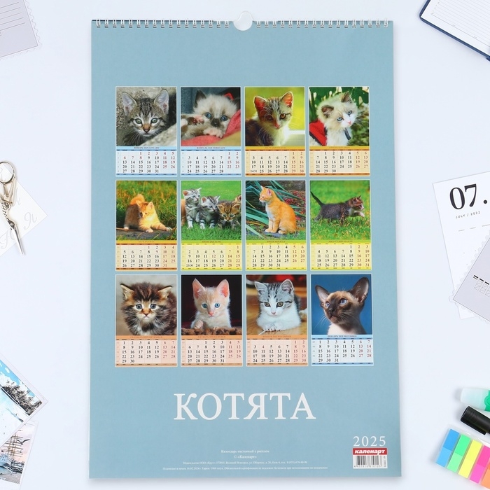 Календарь перекидной на ригеле А3 Календарь перекидной на ригеле А3 "Котята" 2025, 32 х 48 см