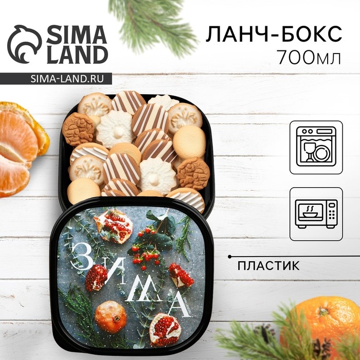 Новый год. Ланч-бокс «Зима», 700 мл Новый год. Ланч-бокс «Зима», 700 мл