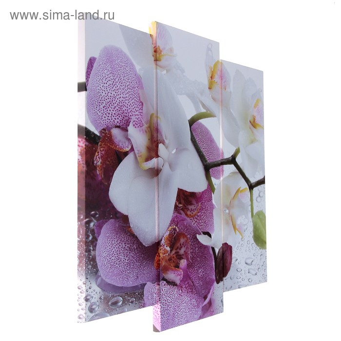 Модульная картина  Модульная картина "Краповая орхидея"  (2-25х52; 1-30х60) 60х80 см