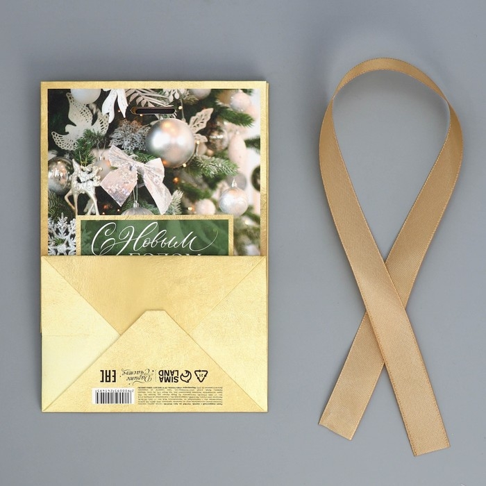 Пакет подарочный новогодний с лентой «Зима», 13 х 19 х 9 см Пакет подарочный новогодний с лентой «Зима», 13 х 19 х 9 см