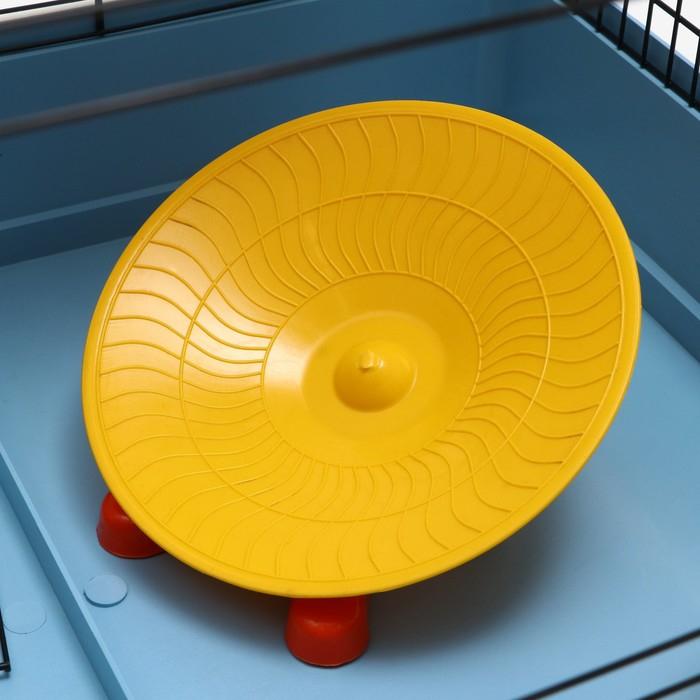 Клетка для грызунов Клетка для грызунов "Хома 3", 50 x 37 x 42 см, микс цветов