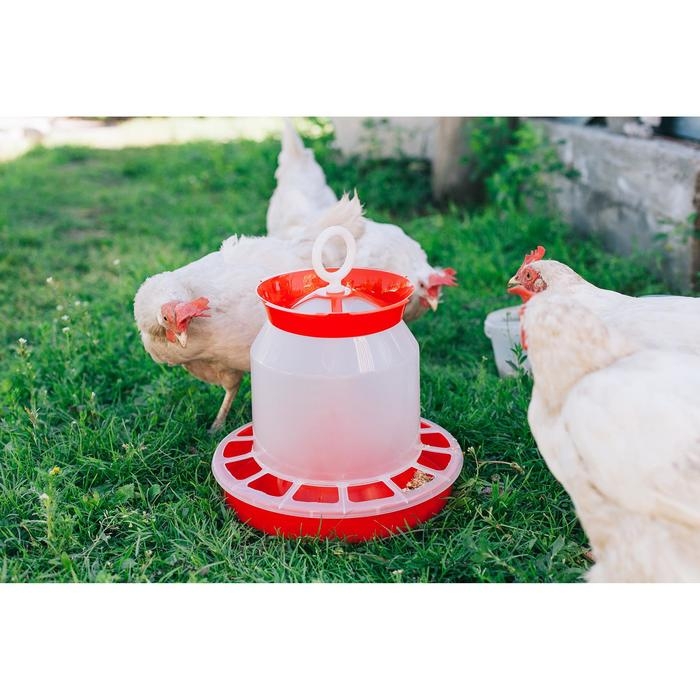 Кормушка бункерная для домашней птицы на 5 кг, цвет МИКС Кормушка бункерная для домашней птицы на 5 кг, цвет МИКС