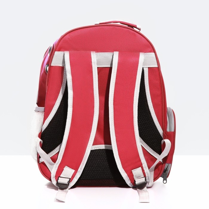 Рюкзак для переноски кошек и собак, прозрачный, 31 х 28 х 42 см, красный Рюкзак для переноски кошек и собак, прозрачный, 31 х 28 х 42 см, красный