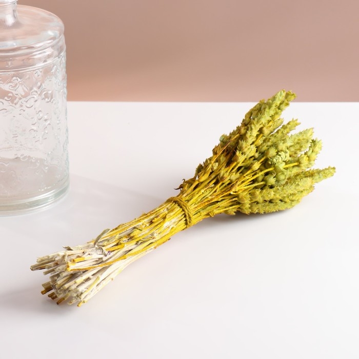 Набор сухоцветов Набор сухоцветов "Железница", банч длина 35 (+/- 6 см), фисташковый