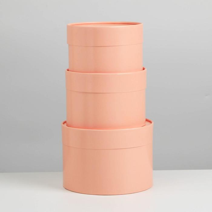 Набор шляпных коробок 3 в 1 пудровый, упаковка подарочная, 16 х 10, 14 х 9, 13 х 8,5 см Набор шляпных коробок 3 в 1 пудровый, упаковка подарочная, 16 х 10, 14 х 9, 13 х 8,5 см