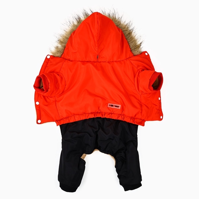 Одежда для собак. Комбинезон зимний «Тёплая зима», красно-чёрный, размер L Одежда для собак. Комбинезон зимний «Тёплая зима», красно-чёрный, размер L