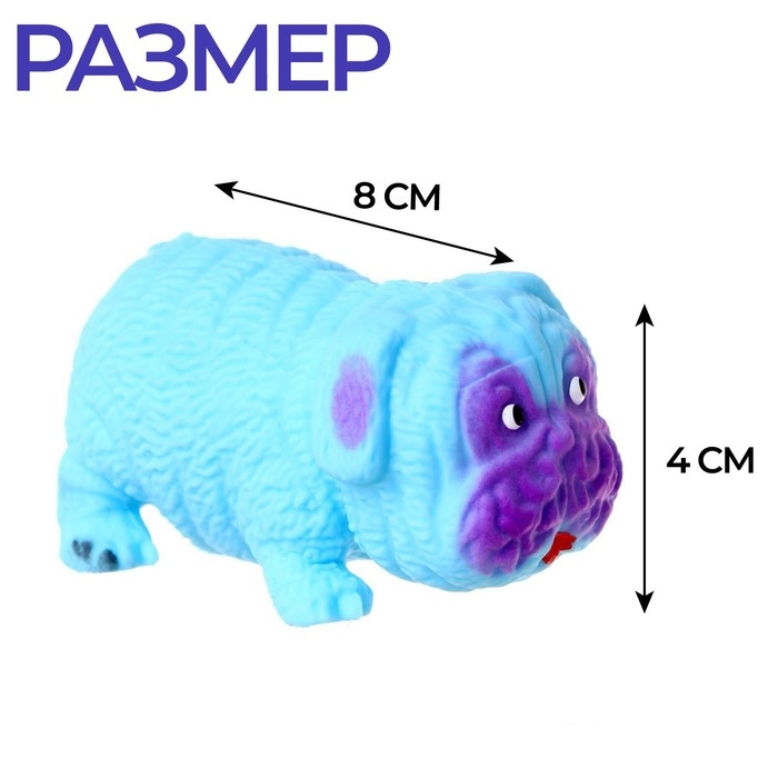 Мялка антистресс тянучка «Собака», с песком, цвета МИКС, в шоубоксе Мялка антистресс тянучка «Собака», с песком, цвета МИКС, в шоубоксе