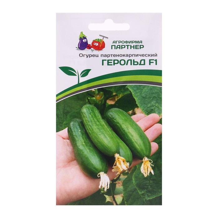 Семена Огурец партенокарпический Семена Огурец партенокарпический "Герольд", F1, 5 шт