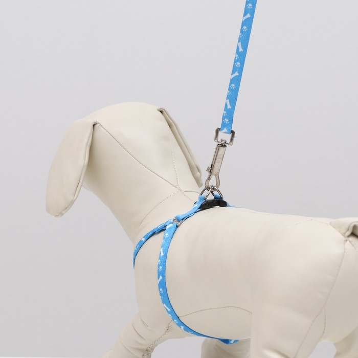 Комплект Комплект "Классика", капрон, поводок 120 х 1 см, ОГ 21-35 см, голубой