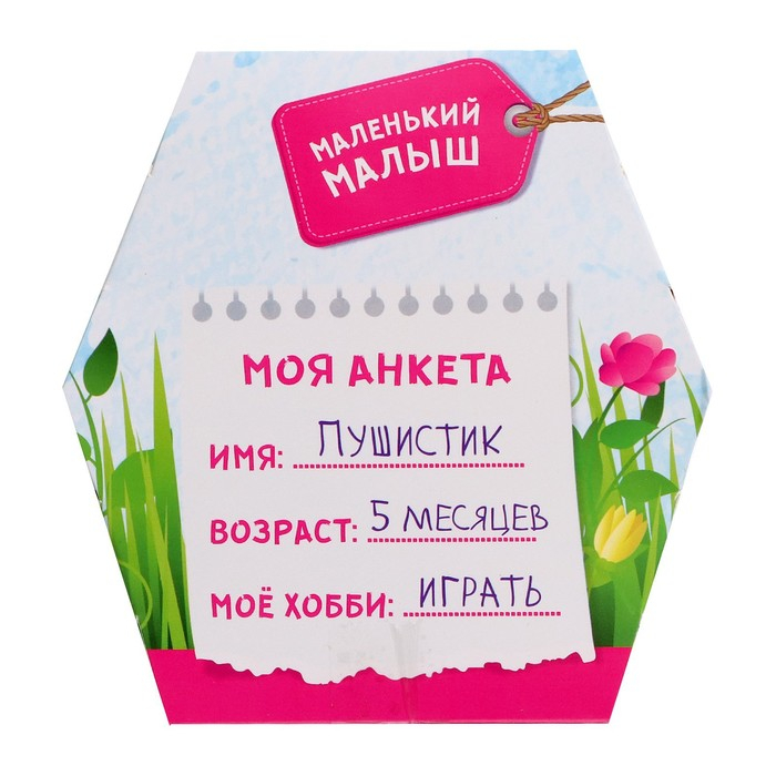 Мягкая игрушка «Лучший друг» в переноске, с аксессуарами, МИКС Мягкая игрушка «Лучший друг» в переноске, с аксессуарами, МИКС