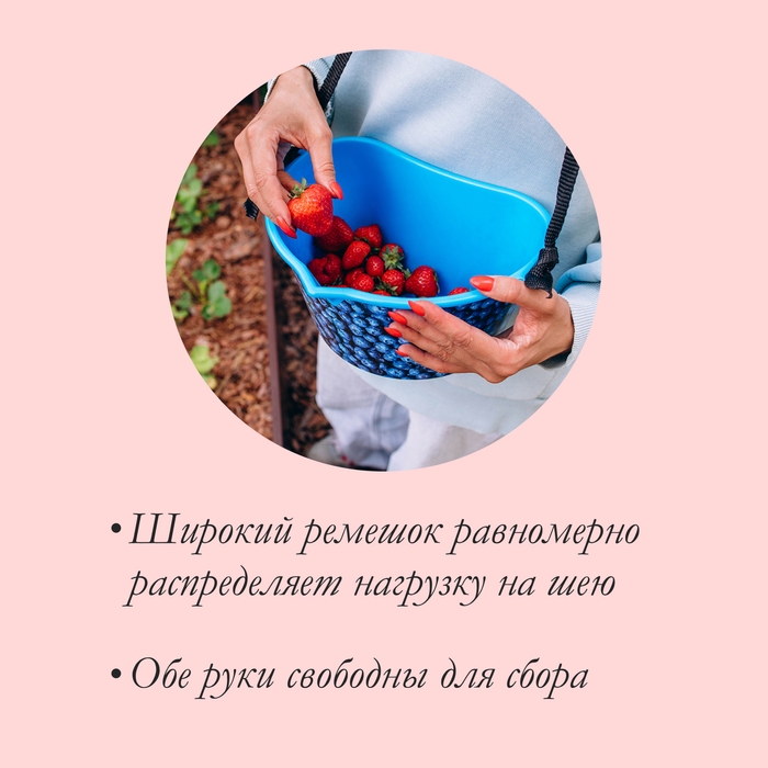 Ёмкость для сбора ягод, 3 л, «Черника», голубая