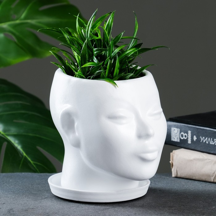 Горшок - органайзер  Горшок - органайзер "Голова" белый, 1,3 л / 16х16х14см
