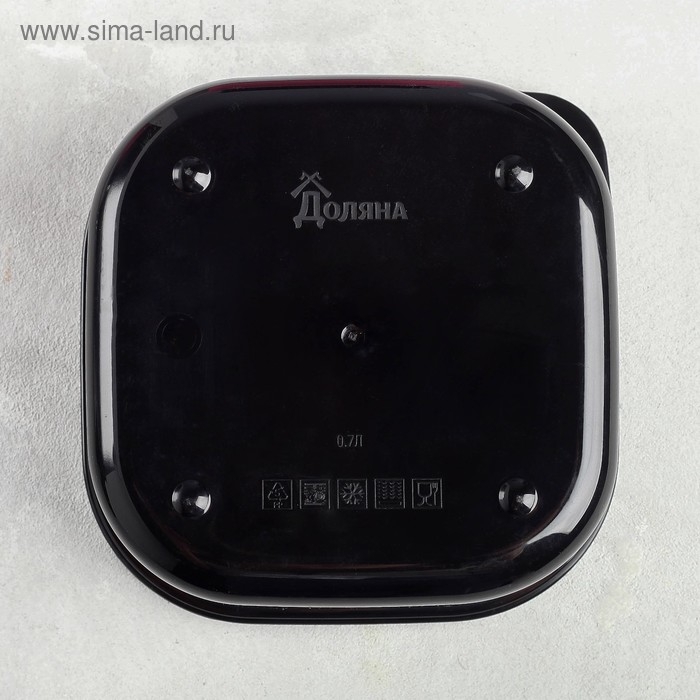 Ланч-бокс «Кот», 700 мл