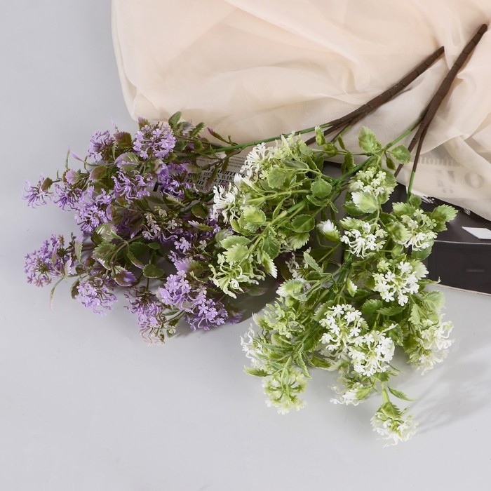 Букет Букет "Зизифора галант" 50 см, микс