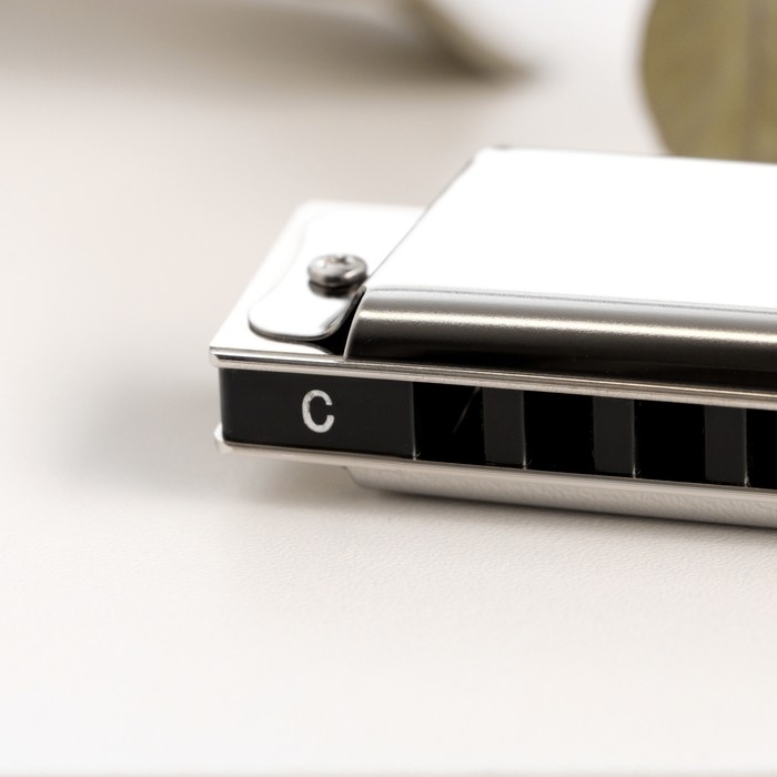 Губная гармошка Music Life T10 C диатоническая, 10 отверстий, с футляром Губная гармошка Music Life T10 C диатоническая, 10 отверстий, с футляром