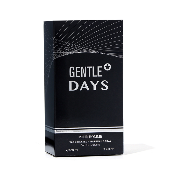 Туалетная вода мужская Gentle Days, 100 мл Туалетная вода мужская Gentle Days, 100 мл