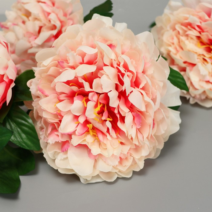 Цветы искусственные  Цветы искусственные "Пион кустовой" 5 бутонов, 15х110 см, кремовый