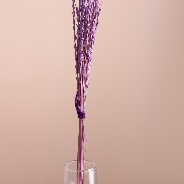 Набор сухоцветов Набор сухоцветов "Райграс", банч 21 шт, длина 60 (+/- 6 см), сиреневый