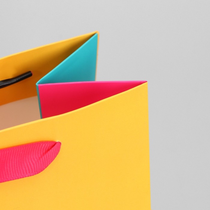 Пакет подарочный трёхцветный, упаковка, «Жёлтый-розовый-голубой», MS 18 х 23 х 10 см