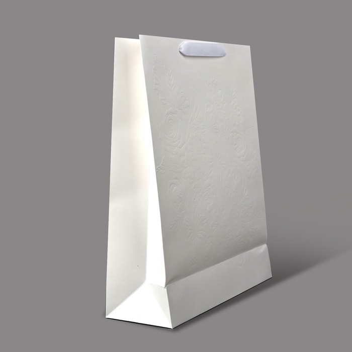 Пакет ламинированный вертикальный Present, L 31 х 40 х 11.5 см Пакет ламинированный вертикальный Present, L 31 х 40 х 11.5 см