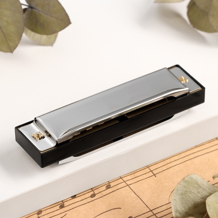 Губная гармошка Music Life T10-4 диатоническая, 10 отверстий, с футляром Губная гармошка Music Life T10-4 диатоническая, 10 отверстий, с футляром