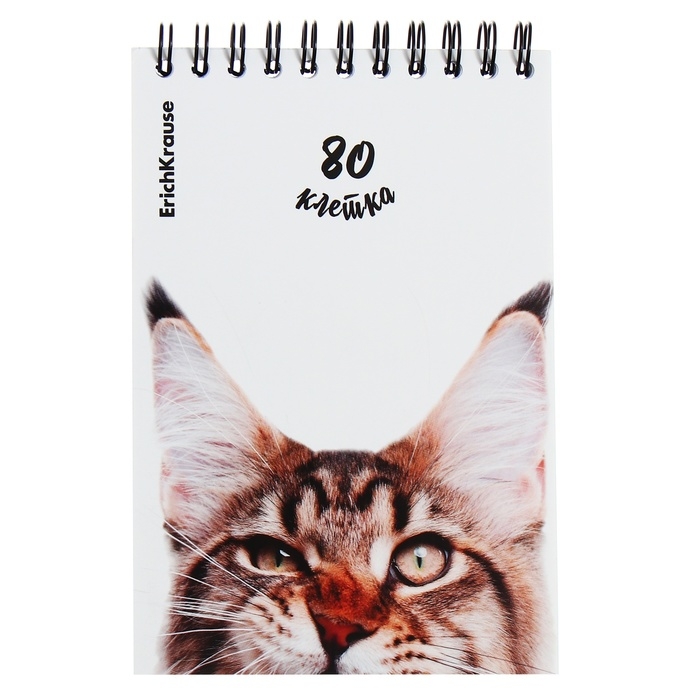 Блокнот на спирали А6, 80 листов, клетка, ErichKruase Блокнот на спирали А6, 80 листов, клетка, ErichKruase "Котики", картонная обложка, блок офсет, белизна 100%, МИКС