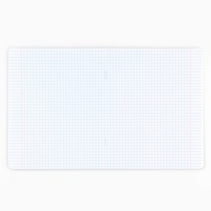 Тетрадь в клетку, 48 листов А5 на скрепке , внутренний блок №1 МИКС «1 сентября: Истинная любовь» ВД лак