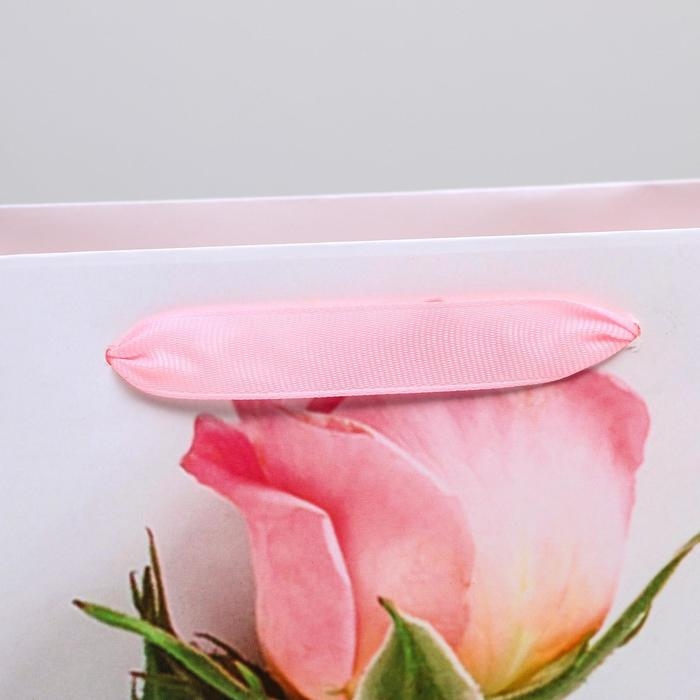 Пакет подарочный ламинированный вертикальный, упаковка, &laquo;Ты прекрасна&raquo;, ML 23 х 27 х 11,5 см