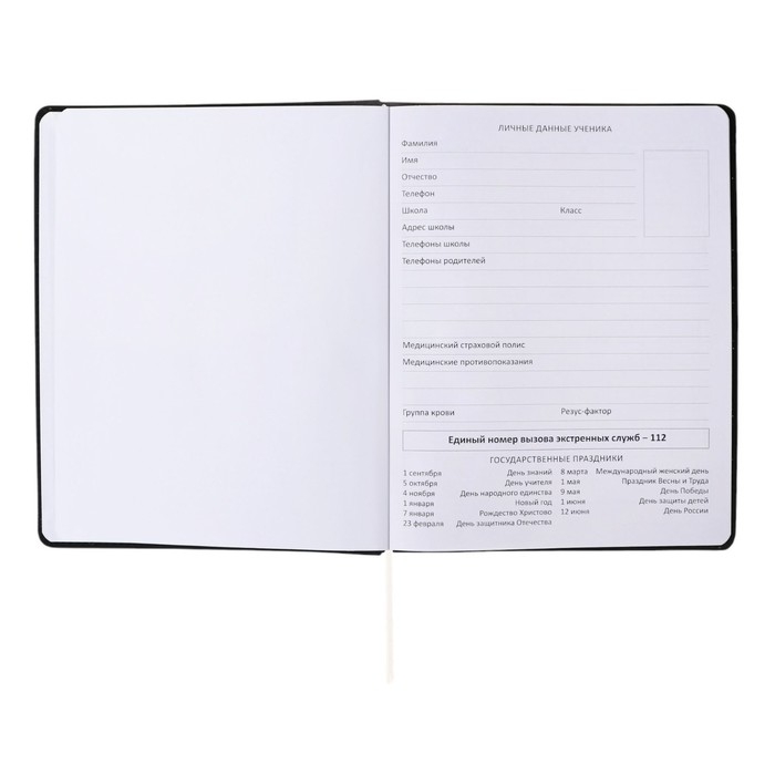 Дневник универсальный для 1-11 класса "Ушла! Вернусь, когда приду", твёрдая обложка, искусственная кожа, тиснение фольгой, ляссе, 80 г/м2