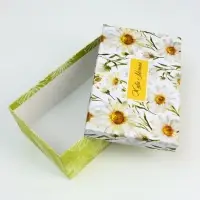 Набор подарочных коробок 10 в 1 &laquo;Самой нежной&raquo;, 32.5&times;20&times;12.5 - 12&times;7&times;4 см