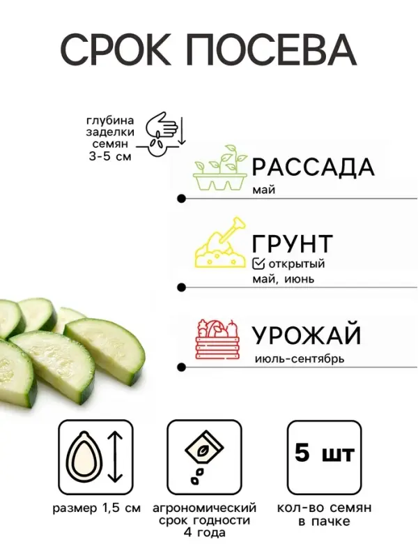 Семена Кабачок цуккини &laquo;Бриллиант&raquo;, 5 шт., &laquo;Золотая Сотка Алтая&raquo;