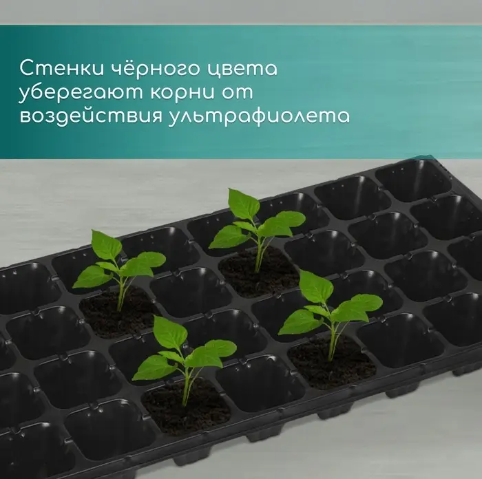 Кассета для рассады, на 32 ячейки, по 110 мл, пластиковая, чёрная, 53.5×27×5.5 см, Greengo