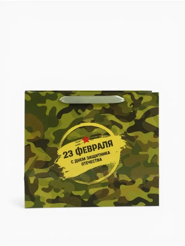 Пакет подарочный вертикальный &laquo;23 февраля&raquo;, ML 23&times;27&times;11.5 см