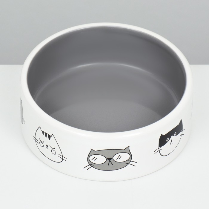 Миска керамическая  Миска керамическая "Четыре кота" 300 мл  12,5 x 4,5 cм, белая/серая