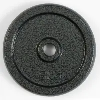 Диск 5 кг, d=29 мм